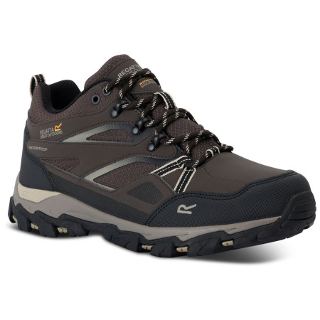 Încălțăminte bărbați Regatta Holcombe 3 Low