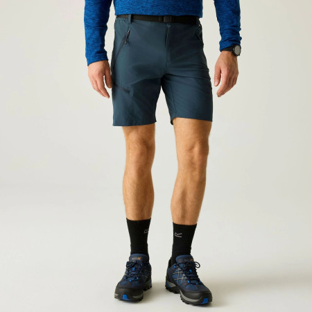 Pantaloni scurți bărbați Regatta Xert Stretch Shorts