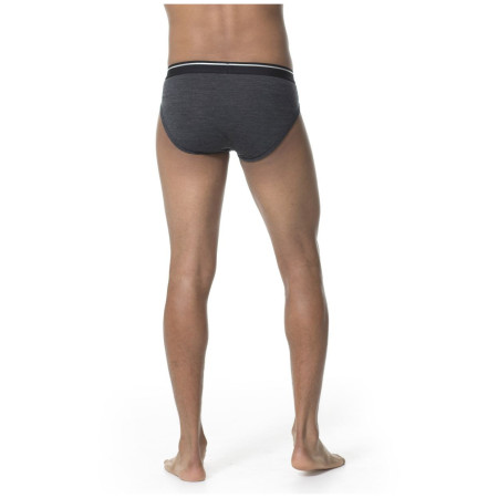 Chiloți bărbați
Icebreaker Mens Anatomica Briefs