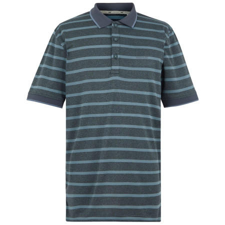Tricou bărbați Regatta Kildra gri StormyWeathr