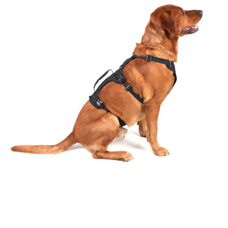 Ham pentru câini Mountain Paws 3-Strap Dog Harness