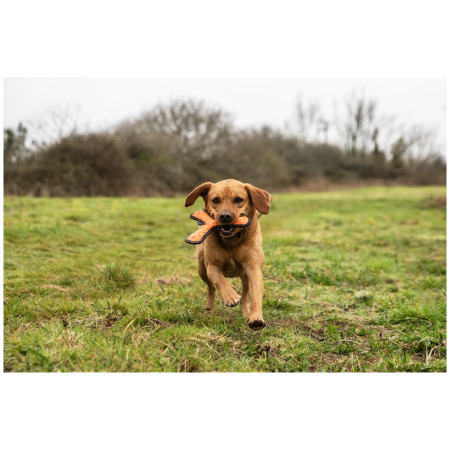 Jucărie pentru câini Mountain Paws Rubber Throw Dog Toy