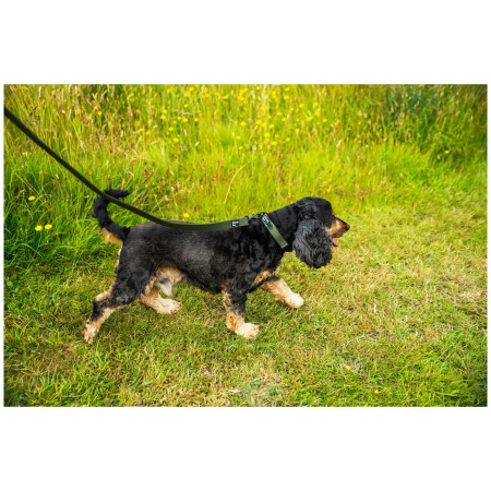 Lesă pentru câini Mountain Paws Extra Tough Dog Lead