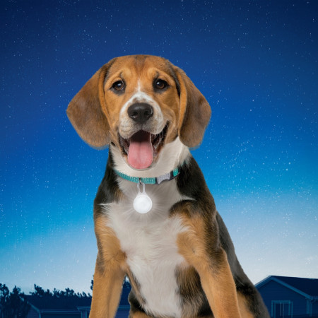 Zgardă luminoasă pentru câini Nite Ize SpotLit Collar Light