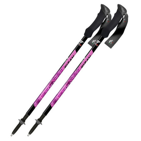 Bețe de trekking Fizan Compact MS