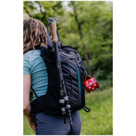 Rucsac Zulu Flaker 20 L