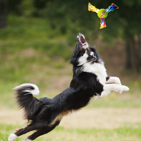 Jucărie pentru câini Nerf Dog Color Grip Tri Flyer 20 cm