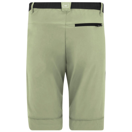 Pantaloni bărbați Regatta Mountain Z/O Trousers