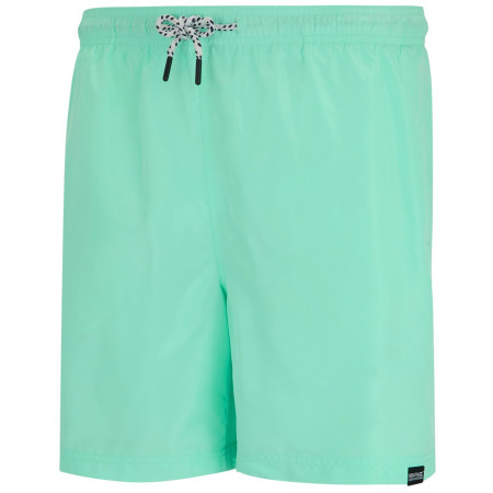 Pantaloni scurți bărbați Regatta Mackleyna Swim Short