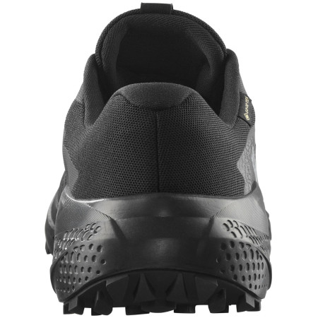 Încălțăminte bărbați Salomon Alphaglide Gore-Tex