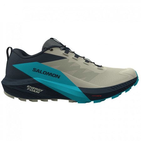 Încălțăminte de alergat pentru bărbați Salomon Sense Ride 5 gri/albastru Alfalfa