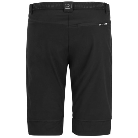 Pantaloni bărbați Regatta Mountain Z/O Trousers