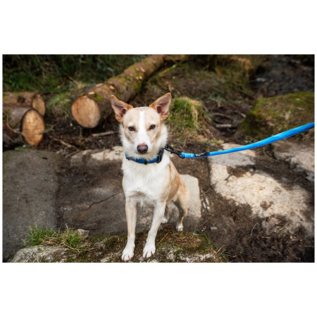 Lesă pentru câini Mountain Paws Waterproof Dog Lead