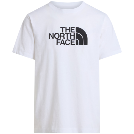 Tricou bărbați The North Face Evolution Half Dome Regular Short Slee