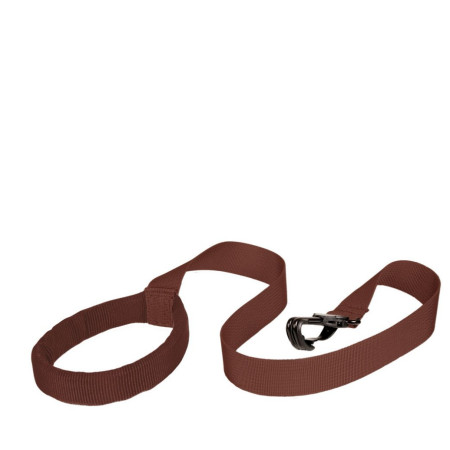 Rucsac pentru copii LittleLife Toddler Backpack - Dinosaur