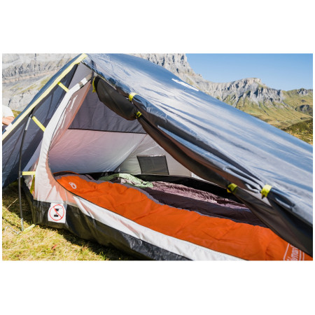 Cort Coleman Bedrock 2