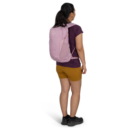 Rucsac urban Osprey Daylite