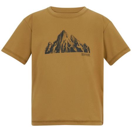 Tricou copii Regatta Alvarado Wood Brown maro Wood Brown