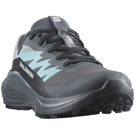 Încălțăminte femei Salomon Alphaglide Gore-Tex