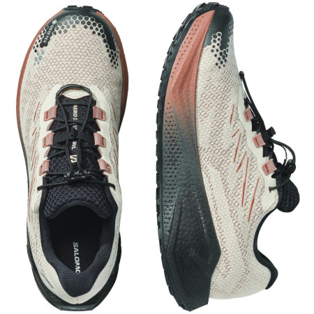 Încălțăminte bărbați Salomon Aero Blaze 4 Grvl Gtx
