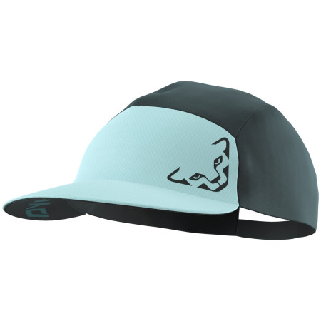 Șapcă Dynafit Alpine Visor Cap