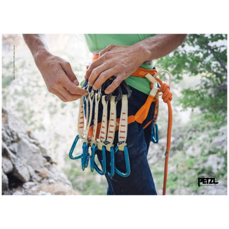 Ham de alpinism Petzl Hirundos