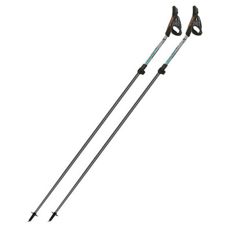 Bețe Nordic Walking Fizan NW Carbon Pro Impulse