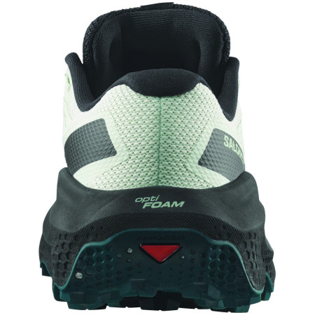 Încălțăminte de alergat pentru femei Salomon Ultra Flow 2 Gore-Tex