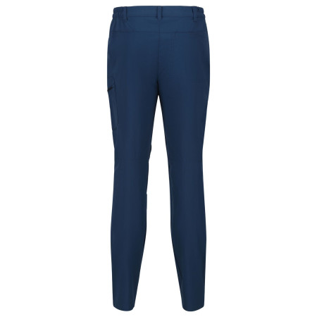 Pantaloni bărbați Regatta Highton Trs