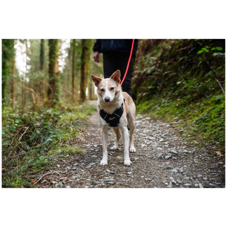 Lesă pentru câini Mountain Paws Rope Dog Lead