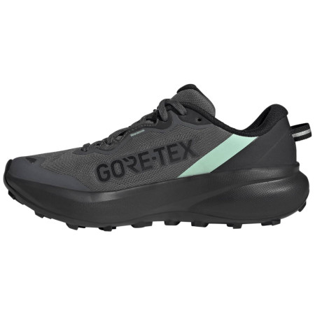 Încălțăminte de alergat pentru femei Adidas Terrex Tracefinder Plus Gtx