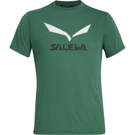 Tricou bărbați Salewa Solidlogo Dri-Rel M S/S Tee verde