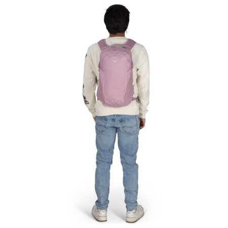 Rucsac urban Osprey Daylite