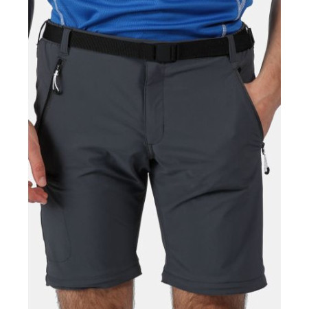 Pantaloni bărbați Regatta Xert Str Z/O III