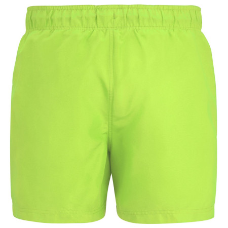 Costum de baie bărbați Regatta Mawson Swim Shorts III