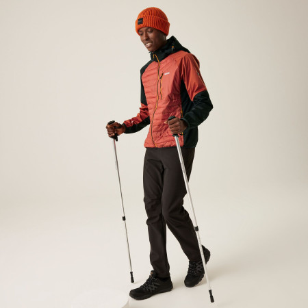 Geacă bărbați Regatta Pro Hybrid