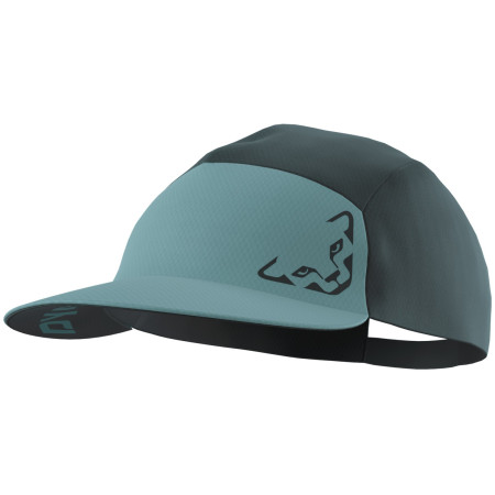 Șapcă Dynafit Alpine Visor Cap