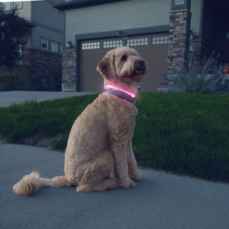 Zgardă luminoasă pentru câini Nite Ize NiteHowl® Rechargeable LED Safety Necklace