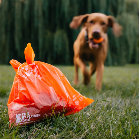Pungi igienice pentru câini Explorer Dog Eko Exbags 60 ks