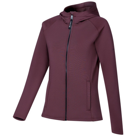 Hanorac femei Dare 2b Glacier Midlayer