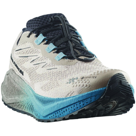 Încălțăminte bărbați Salomon Aero Blaze 4 Grvl Gtx