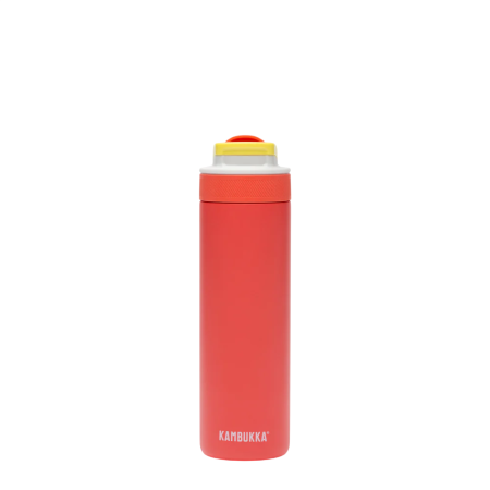 Sticlă termică oțel Kambukka Lagoon insulated 600 ml