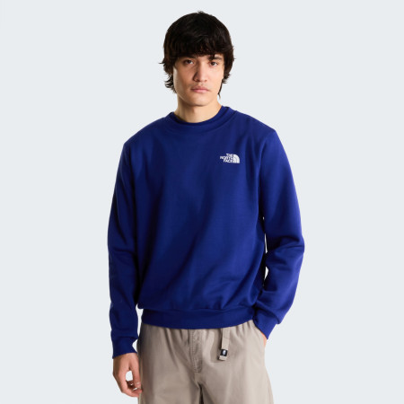 Hanorac bărbați The North Face M Evolution Box Nse Regular Crew