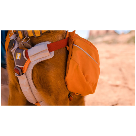 Rucsac pentru câini Ruffwear Approach™ Pack