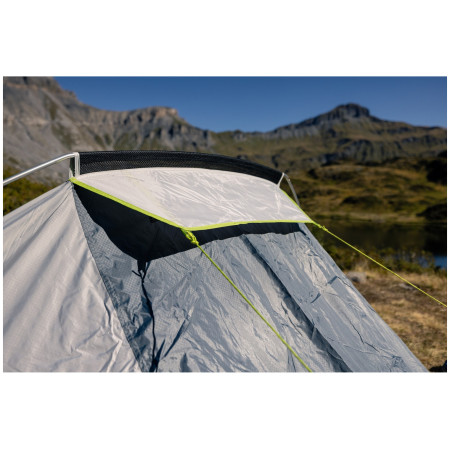 Cort Coleman Cobra 3