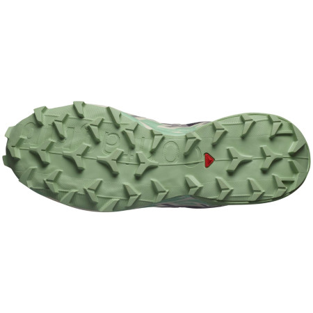 Încălțăminte de alergat pentru femei Salomon Speedcross 6