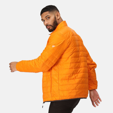 Geacă bărbați Regatta Hillpack