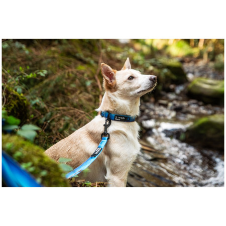 Zgardă pentru câini Mountain Paws Waterproof Dog Collar