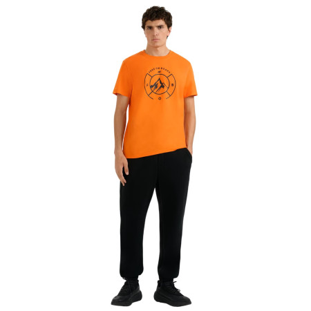 Tricou bărbați 4F Tshirt M3138