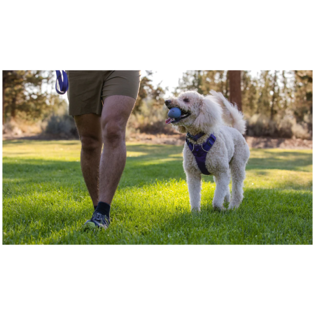 Jucărie pentru câini Ruffwear Turnup™ Toy